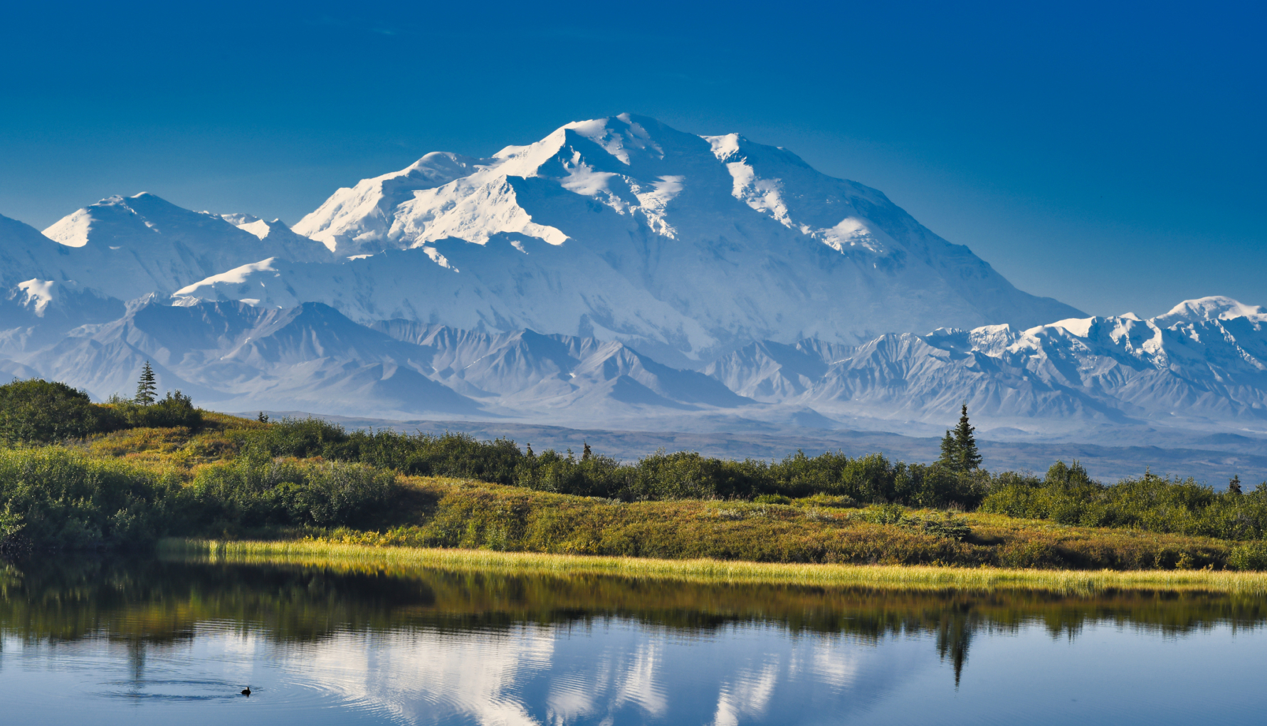 Reflection of Denali